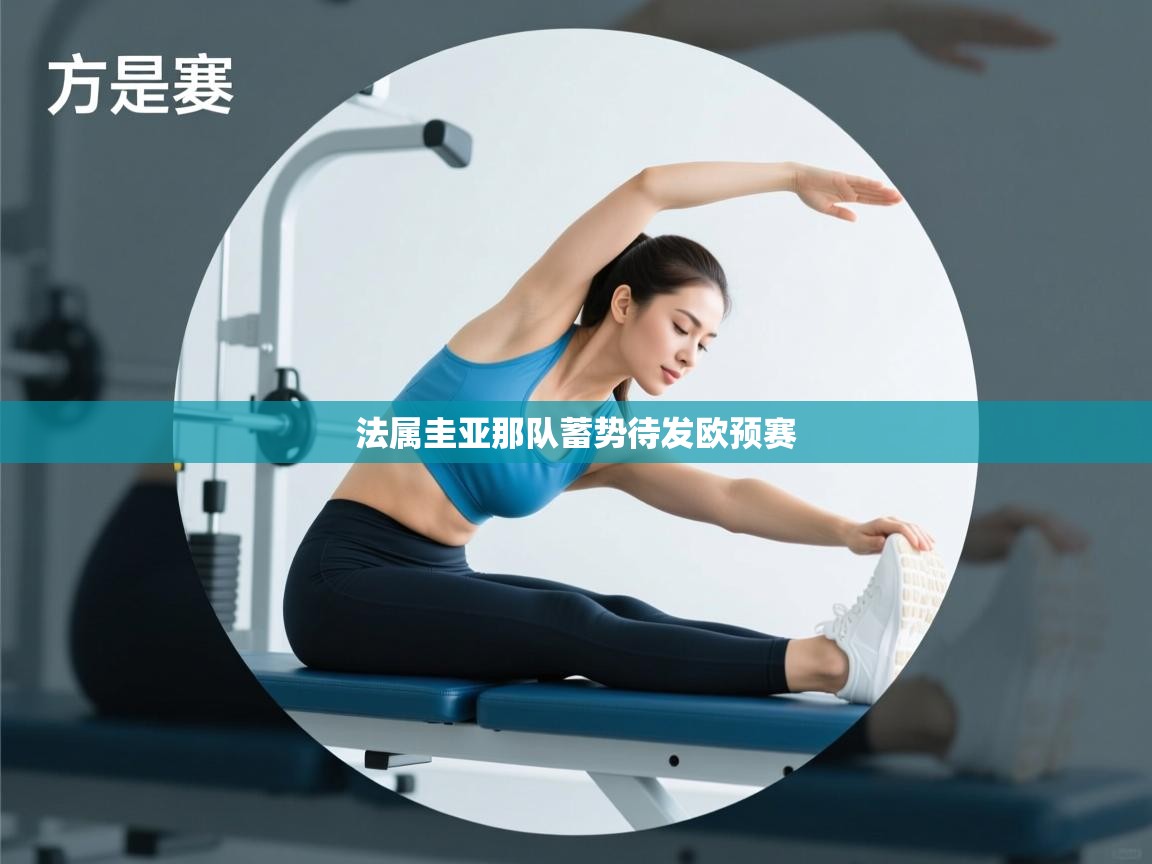 法属圭亚那队蓄势待发欧预赛  第2张