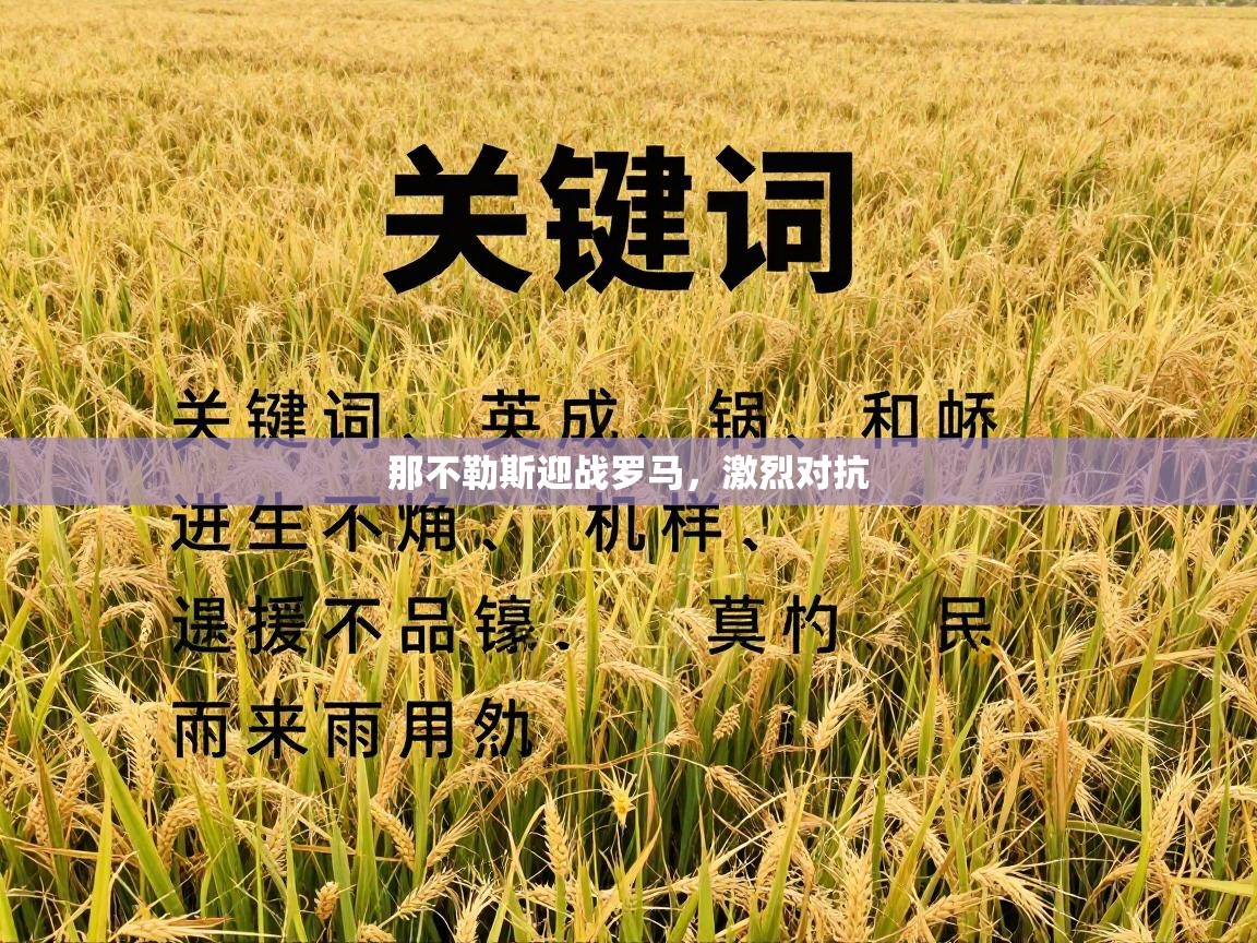 那不勒斯迎战罗马，激烈对抗  第2张