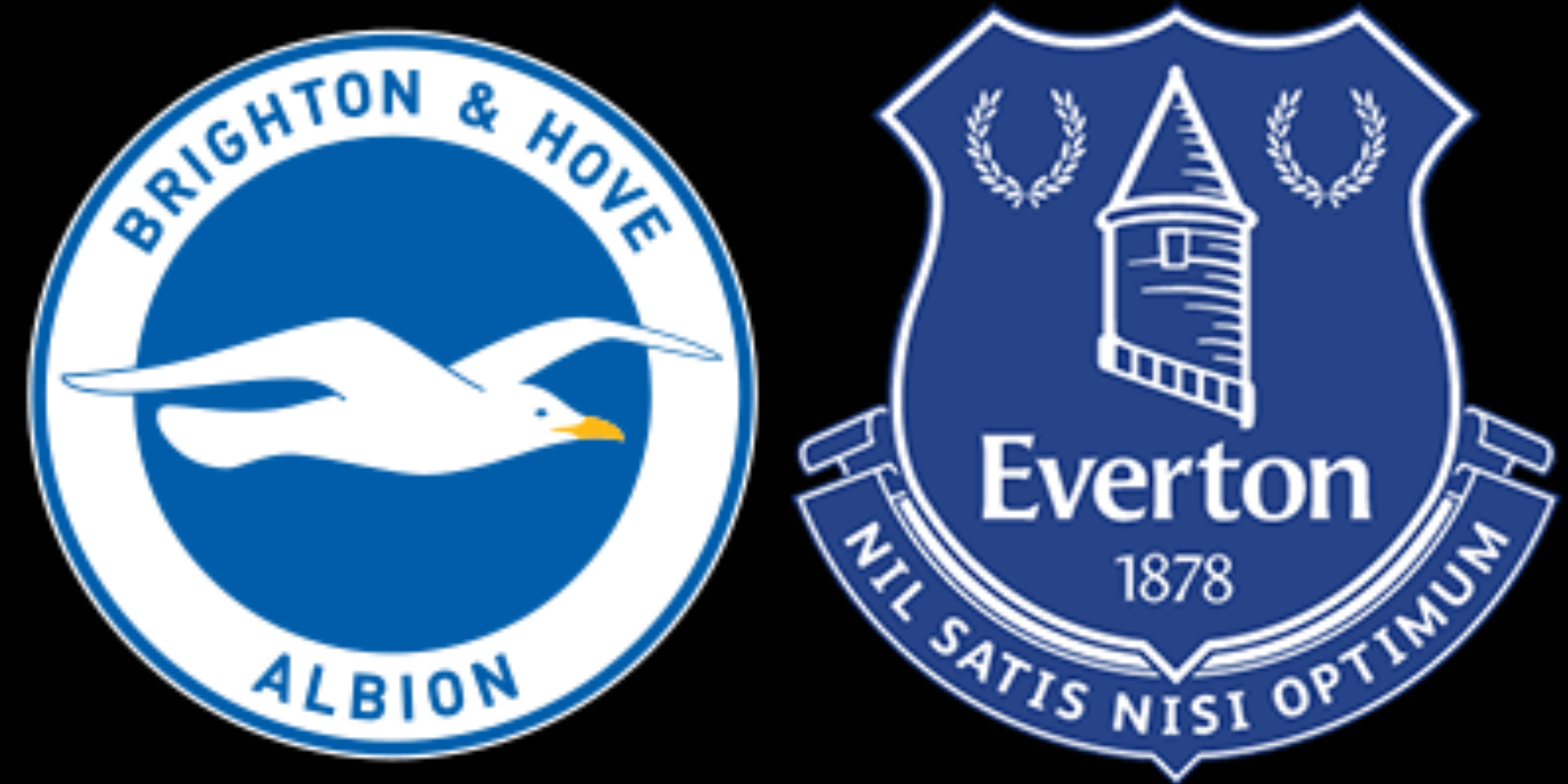 九游体育登录-艾弗顿主场胜利，保住保级希望的简单介绍